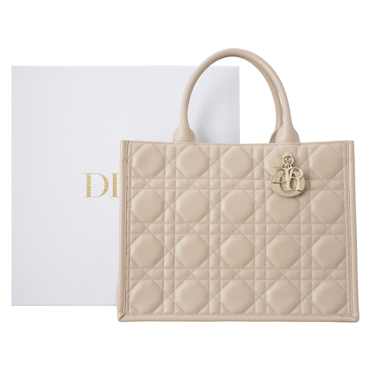 CHRISTIAN DIOR(USED)디올 레더 북토트 미듐
